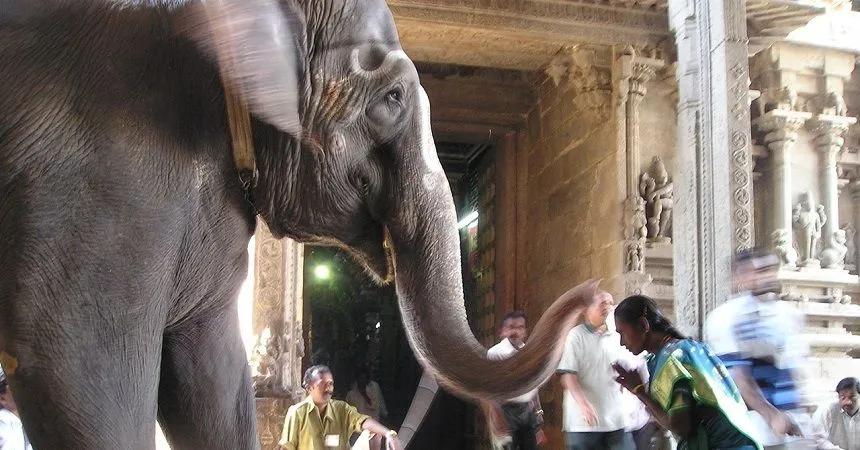 shiva temple worship